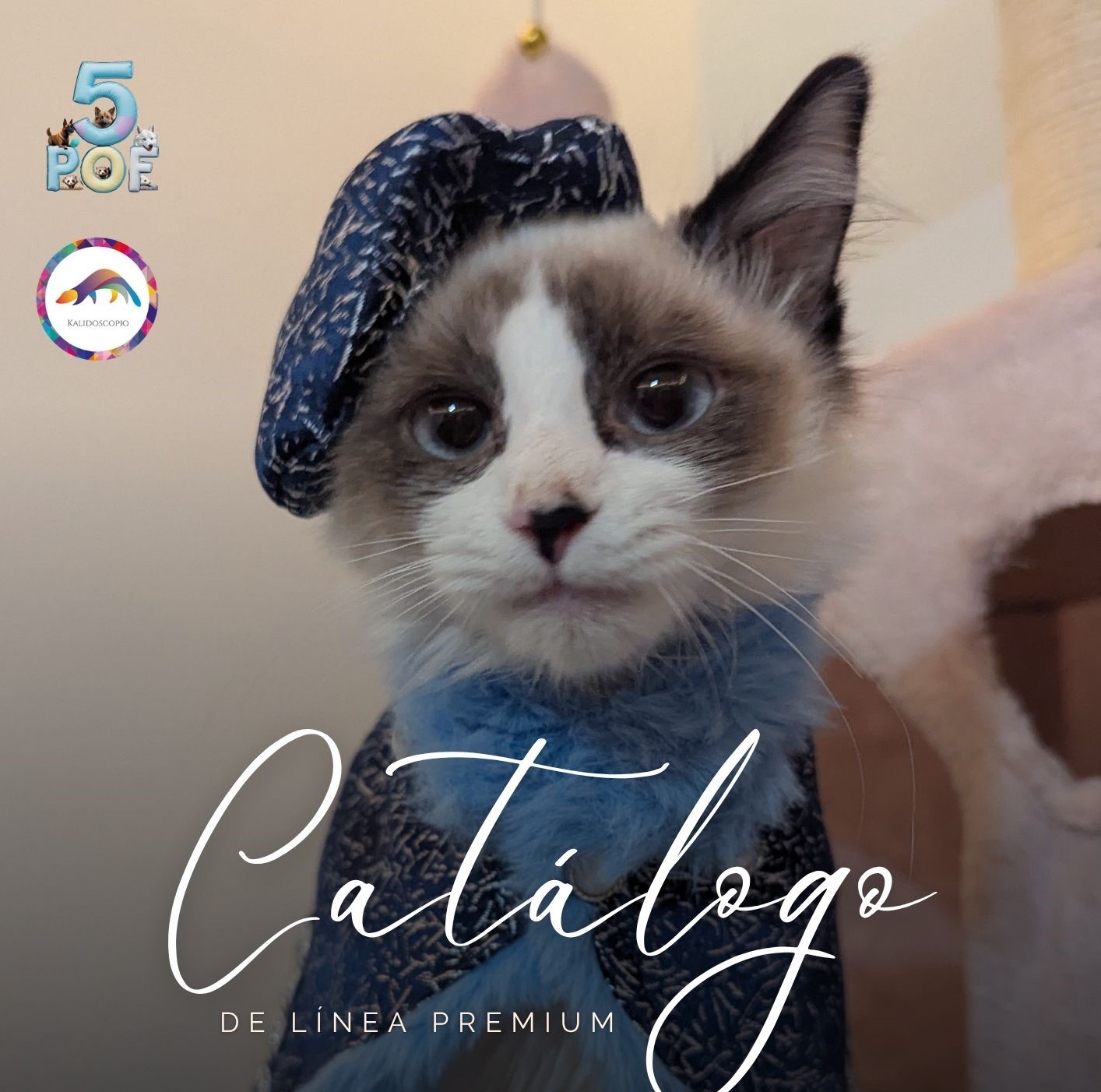 Gatolandia